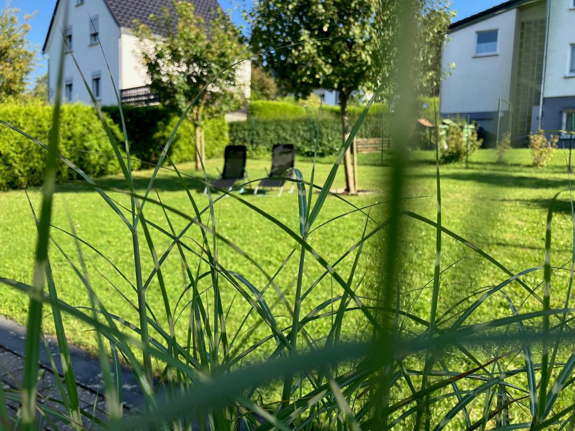 Landhaus Augenblicke In Olsberg - Modernes Ferienhaus Mit Garten Exterior photo